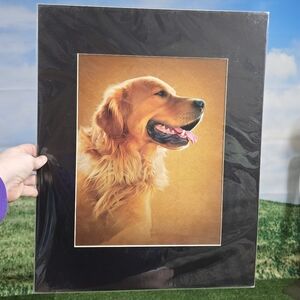 🛑$5🛑 FINAL PRICED ITEM! BUY NOW or BUNDLE TO SAVE MORE!